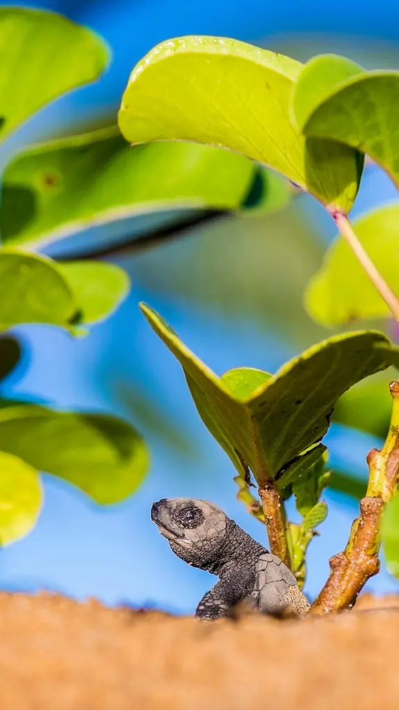 C&rsquo;est le grand d&eacute;part !