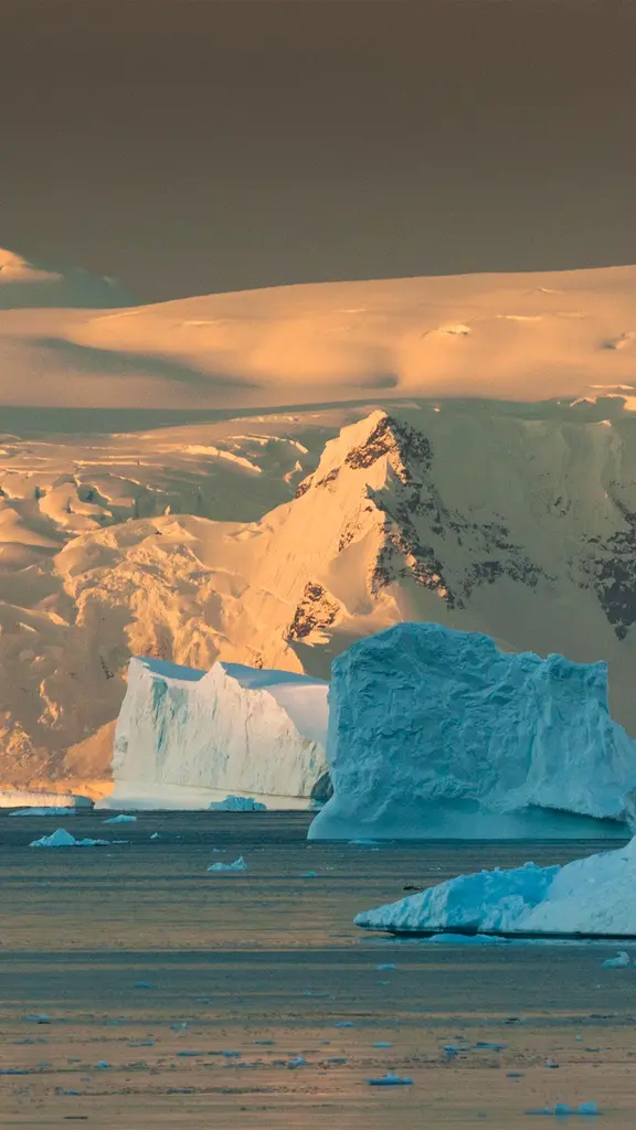 Protecting the last great wilderness