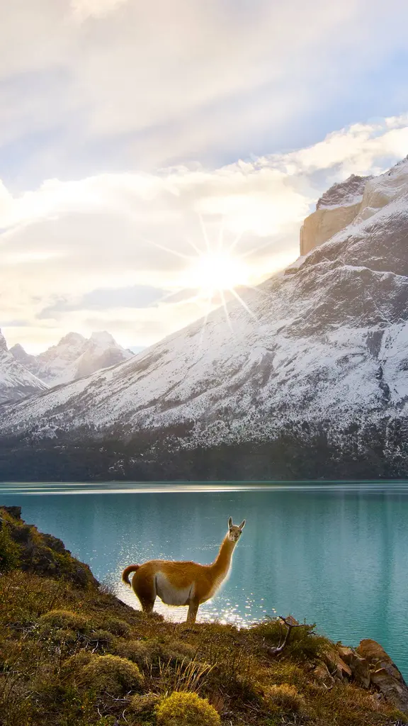 Con actitud y altura