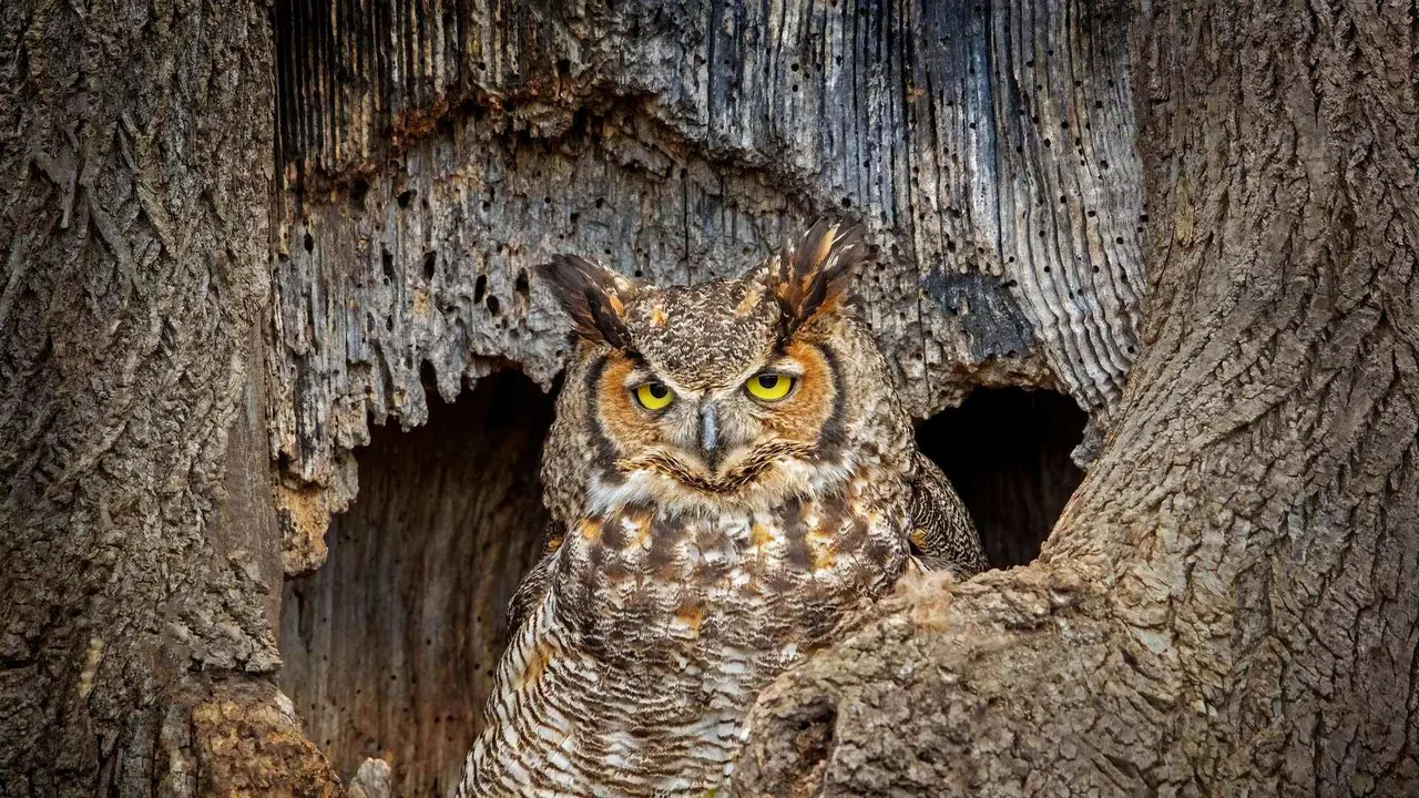 今日は敬老の日