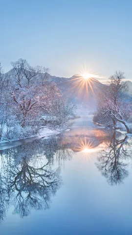 Midwinter wonderland