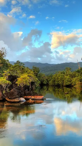 今日は世界環境デー
