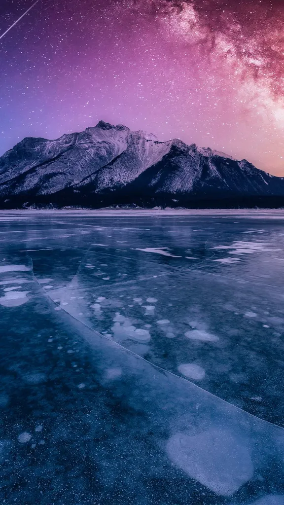 大自然的波普艺术