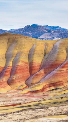 Echos des Aussterbens