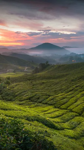 Un paysage qui inspire la s&eacute;r&eacute;ni-th&eacute;