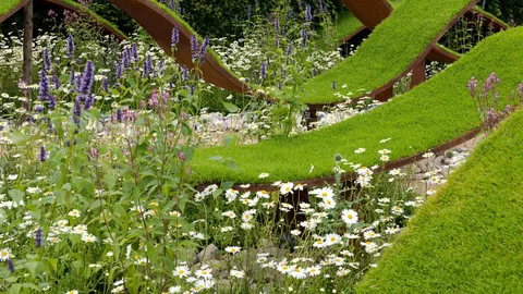 'Sow' much to see and do