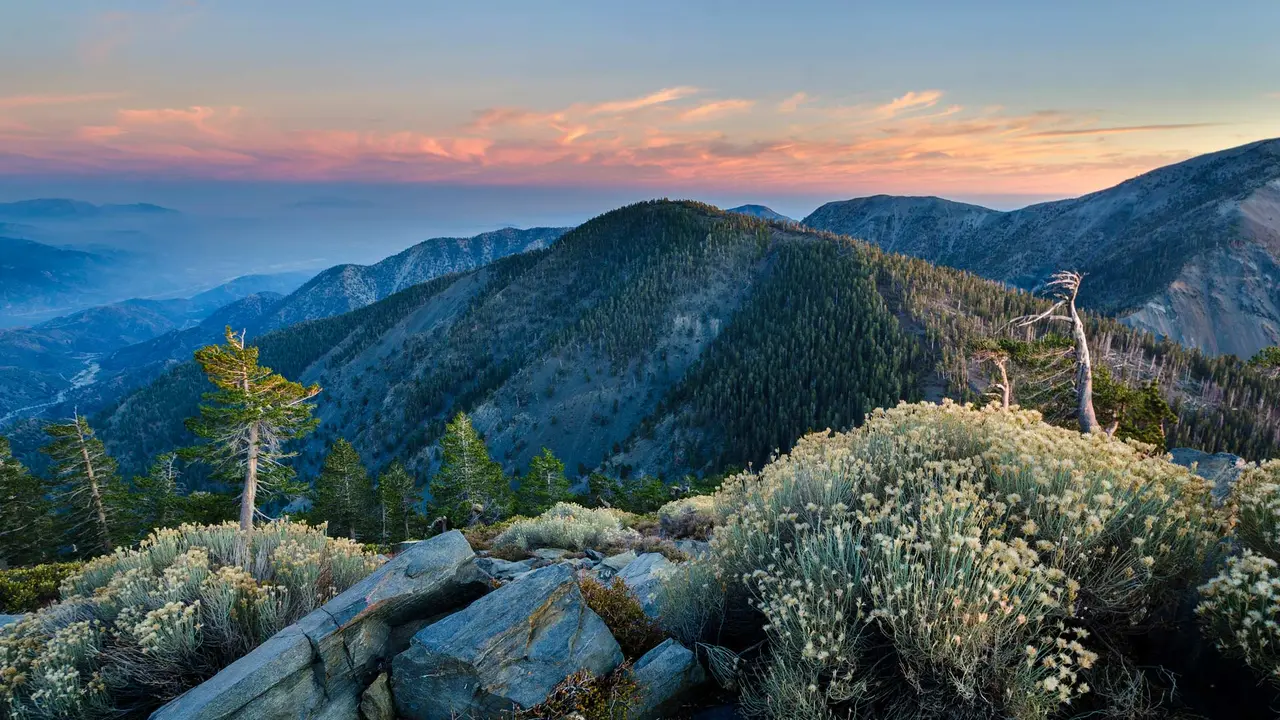 Summit of Pine Mountain, Angeles National Forest, California, United States
