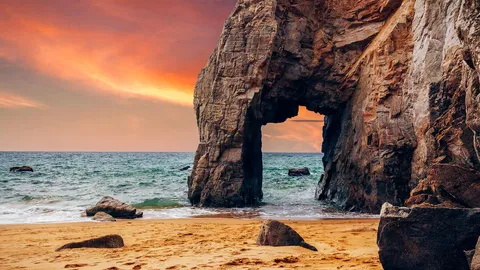 Faites sauter les cr&ecirc;pes !