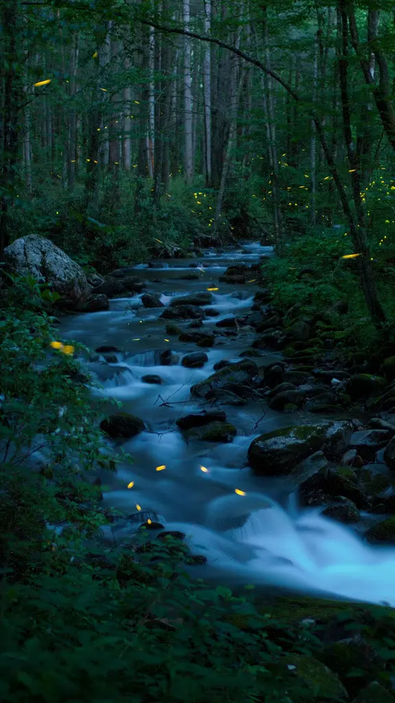 今日はネイチャー・フォトグラフィー・デー