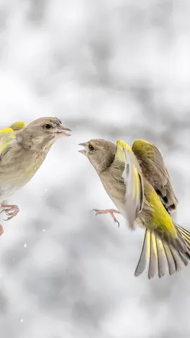 Questo posto &egrave; mio!