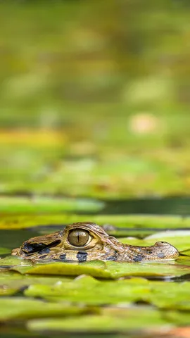 Einfach mal abtauchen!
