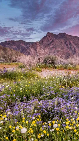 Un tocco di primavera