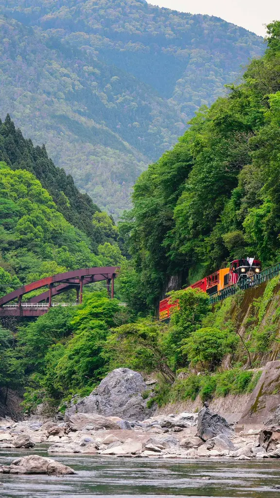 A train running along Hozugawa River in Arashiyama, Kyoto, Japan
