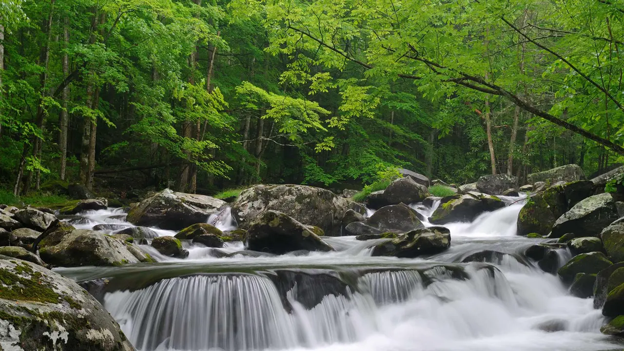 Little Pigeon River, Great Smoky Mountains National Park, Tennessee, United States