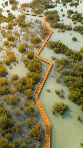 和这些耐盐植物问好！