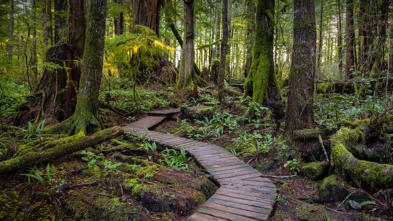 Le chemin le moins fr&eacute;quent&eacute;