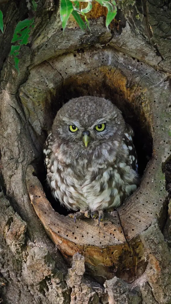 Wer hat an der Uhr gedreht?