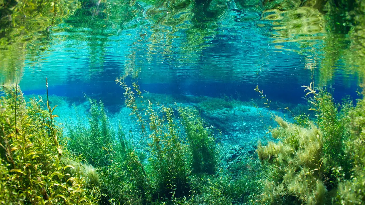 Rainbow River in Rainbow Springs State Park, Florida, United States