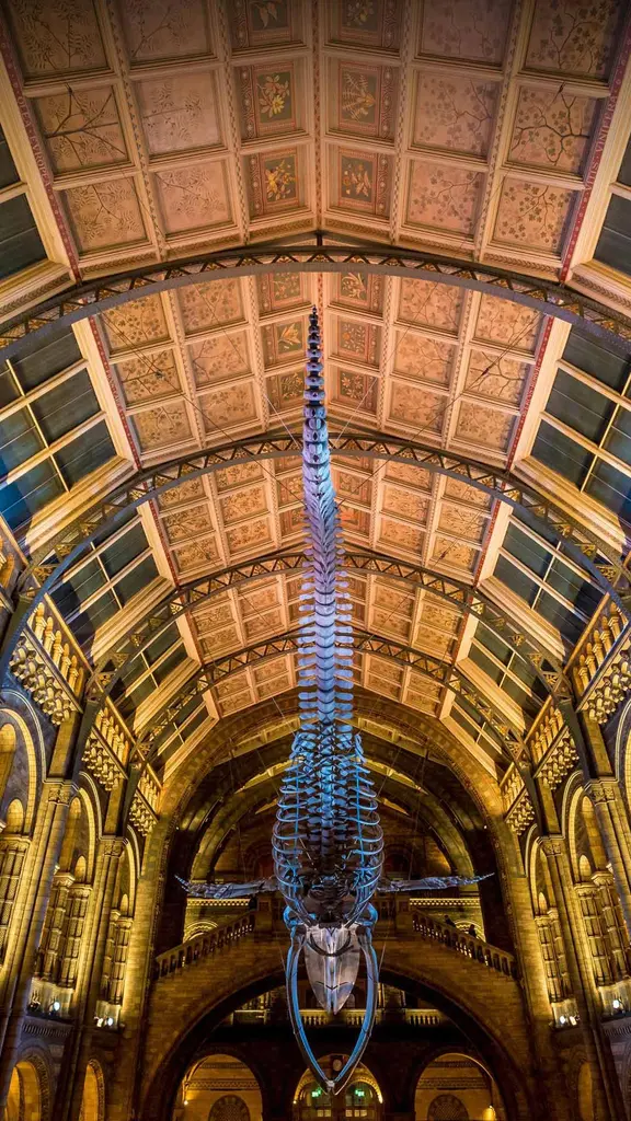 Uma longa hist&oacute;ria