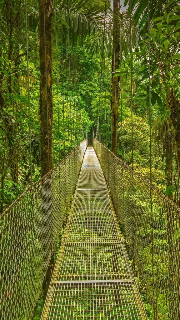 上面的空气怎么样？