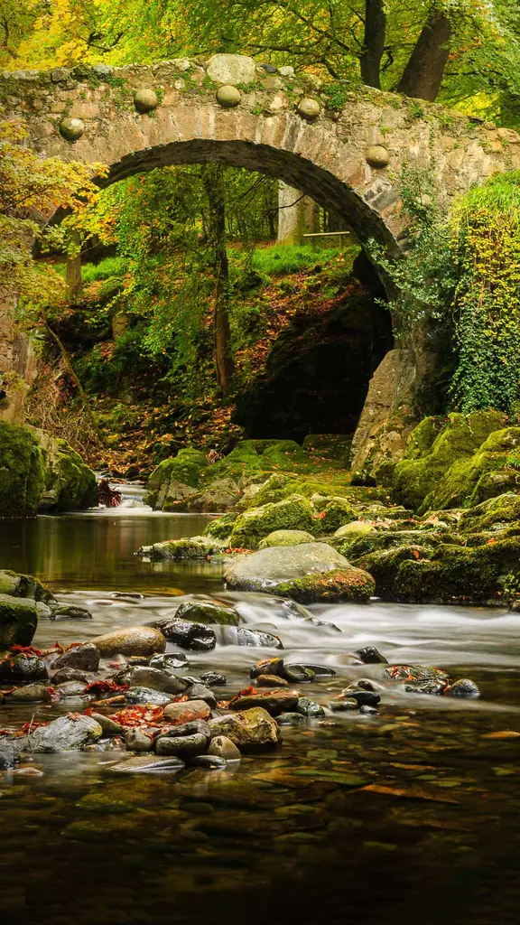 托利莫尔森林公园的弗利桥，英国北爱尔兰