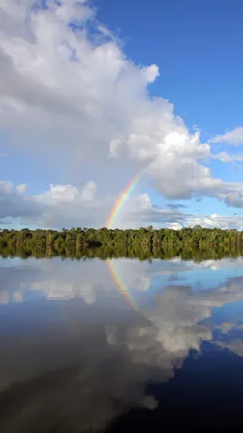 まるで鏡のようなリフレクション