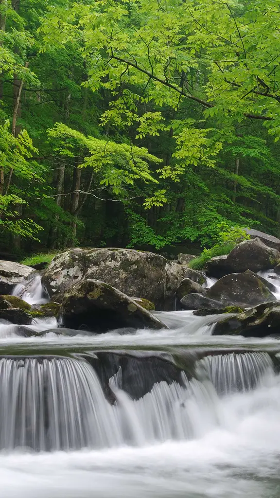 Little Pigeon River, Great Smoky Mountains National Park, Tennessee, United States