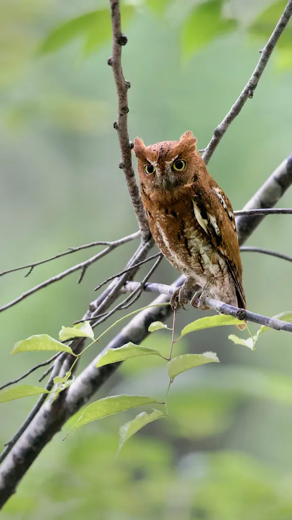 今日は敬老の日