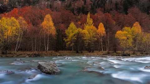 &iquest;Nos vestimos para la ocasi&oacute;n?