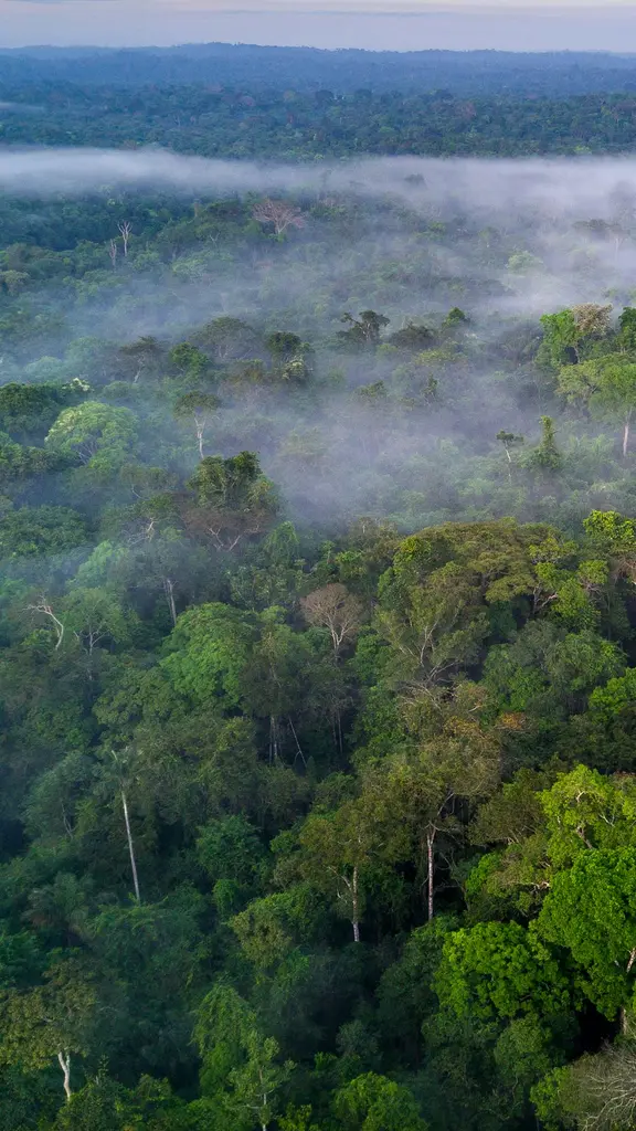 O que os olhos n&atilde;o veem
