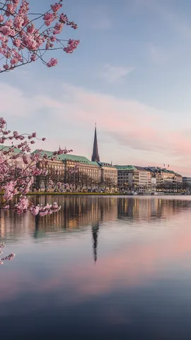 Rosa Fr&uuml;hlingszauber