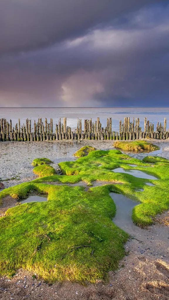 世界最大の干潟地帯