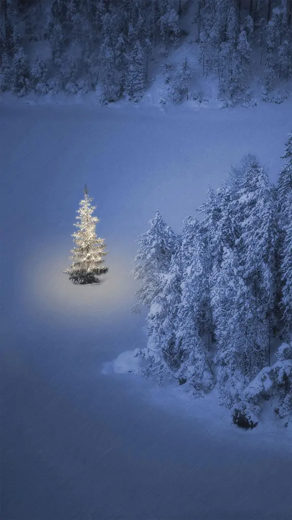 湖畔的一棵小圣诞树，奥地利魏森湖