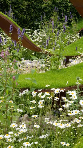 'Sow' much to see and do