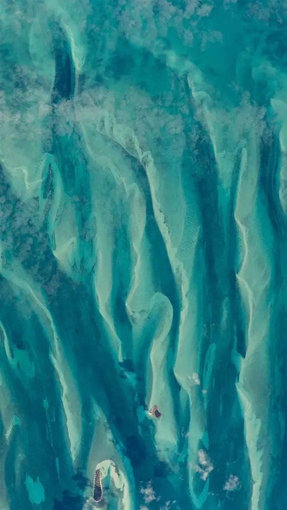 像极了艺术画作的真实照片