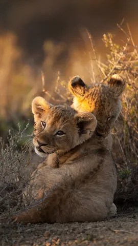 A look over the shoulder