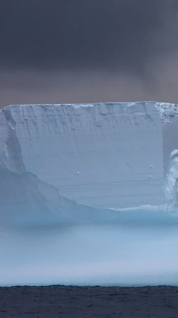 今日は南極の日