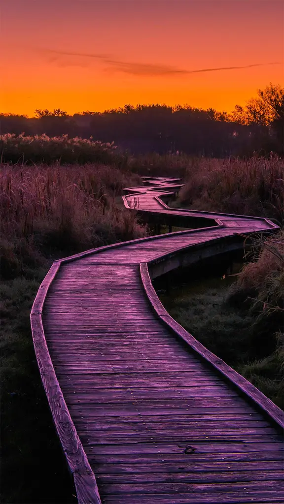 天堂之路，新泽西州瓦瓦安达州立公园