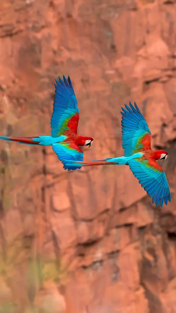 &iexcl;Guay-camayos al aire!