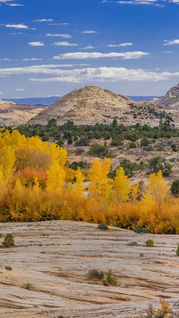 色とりどりの岩石が作り出す絶景