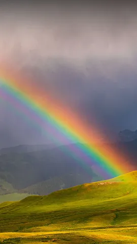 Wiesentraum, Berge im Farbenschaum
