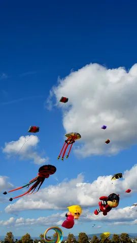 Le ciel en f&ecirc;te