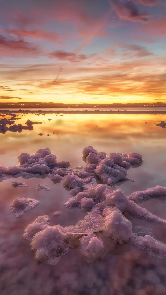 粉红色，很好看