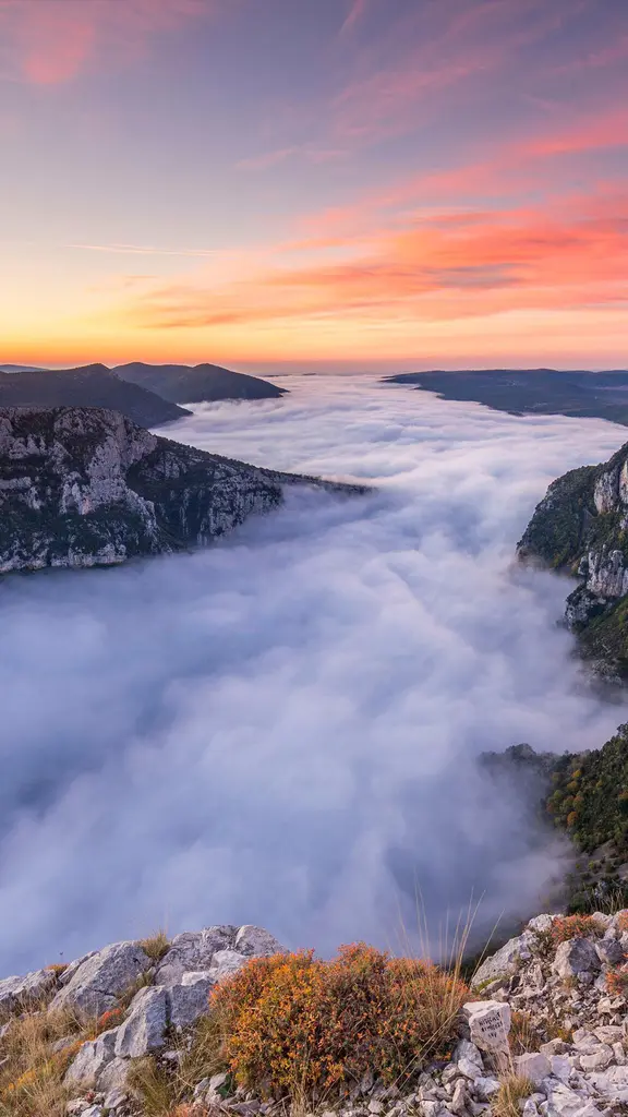 幻想的な川霧が湧く峡谷