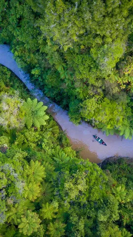 Whanganui National Park, Retaruke, New Zealand