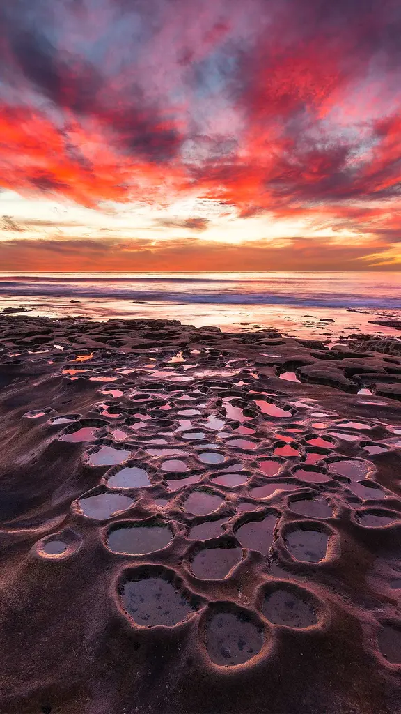 Tide pools in La Jolla, California, United States