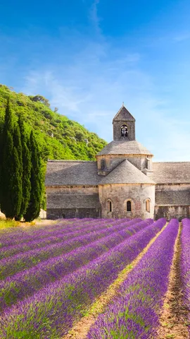 Entre Histoire, lavande et tradition