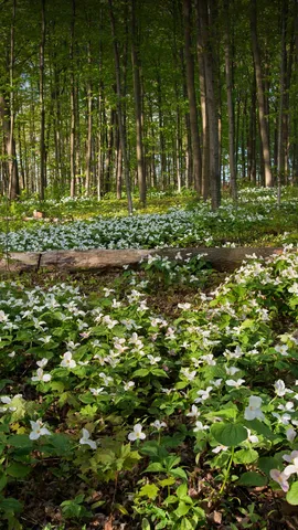 Hey, how's it growing today?