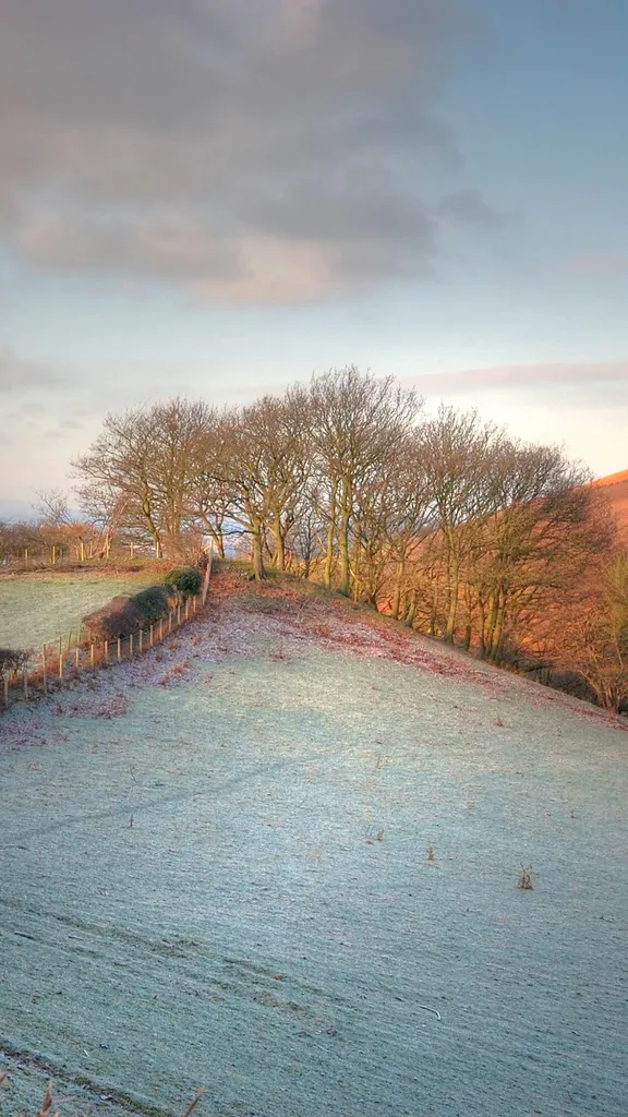 苹果韵，旧时光