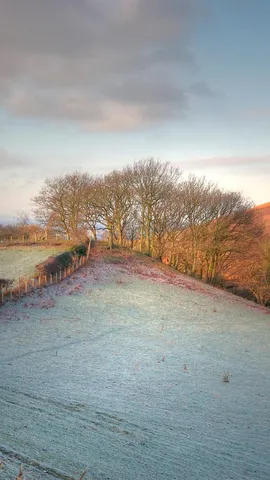 苹果韵，旧时光